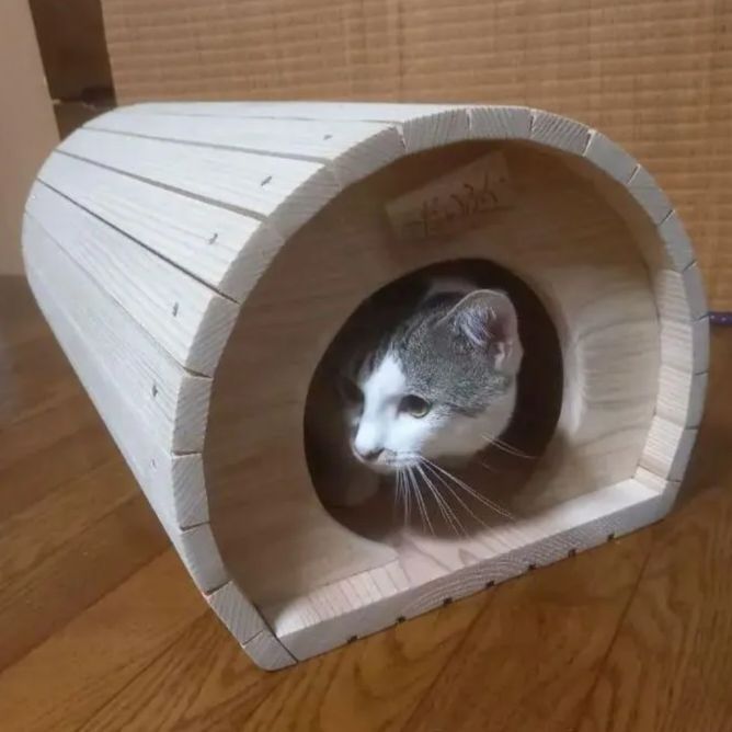 B棟｜キャットハウス ネコハウス