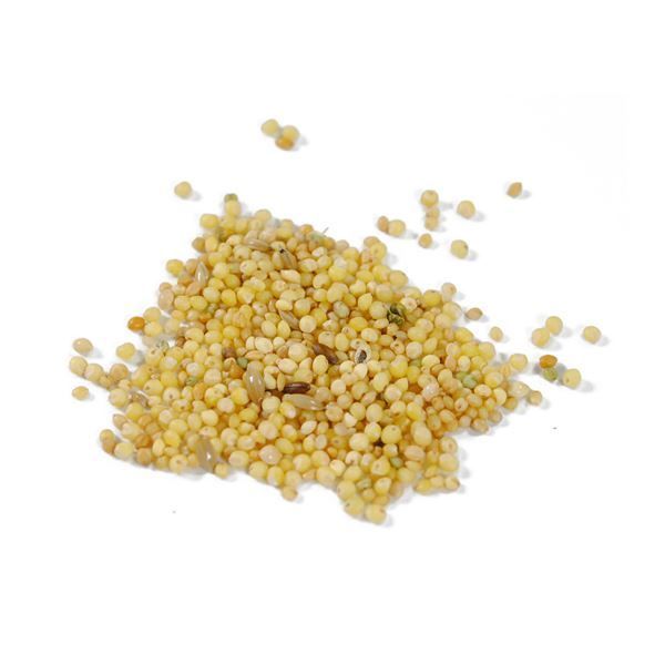 まとめ ペットプロ 小鳥のごはん 皮ムキ 1kg ×12セット