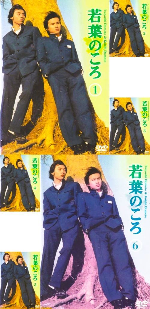 若葉のころ【DVD】全6巻セット Amazon.co.jp: 若葉のころ [レンタル落ち] (全6巻) [マーケット