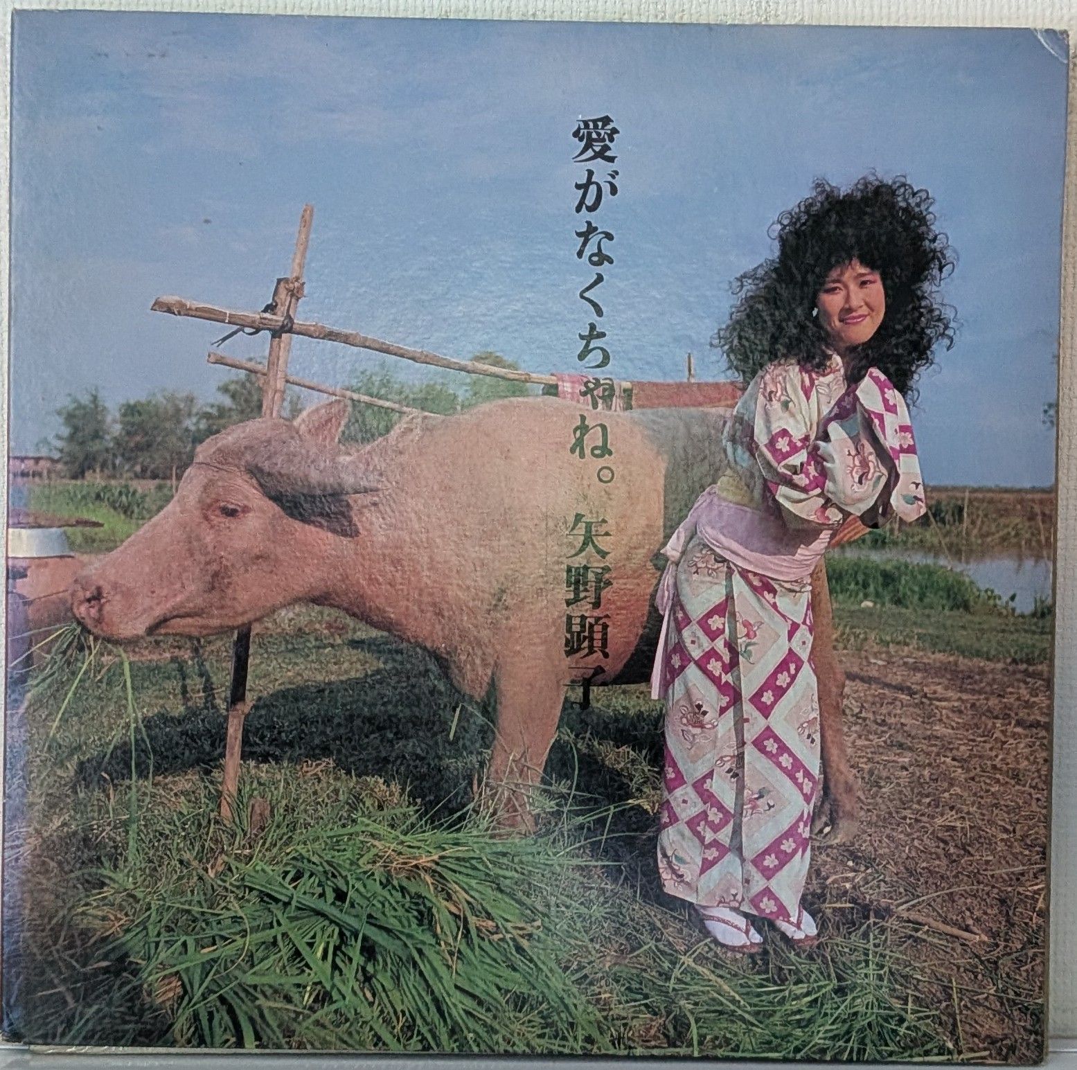 矢野顕子 愛がなくちゃね サイン入り LP Yahoo!オークション -「愛がなくちゃね。」(音楽) の落札相場