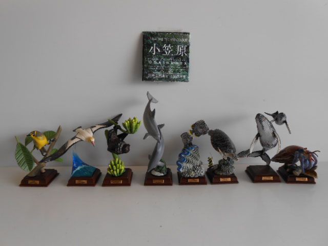 ♯Jti11Ozネイチャーテクニカラー小笠原シークレット入8種 ♯Jti11Ozネイチャーテクニカラー小笠原シークレット入8種