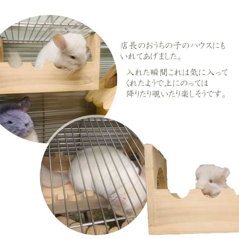 minimal☆月のステージ☆月のハウス☆チンチラ☆デグー - 小動物用品