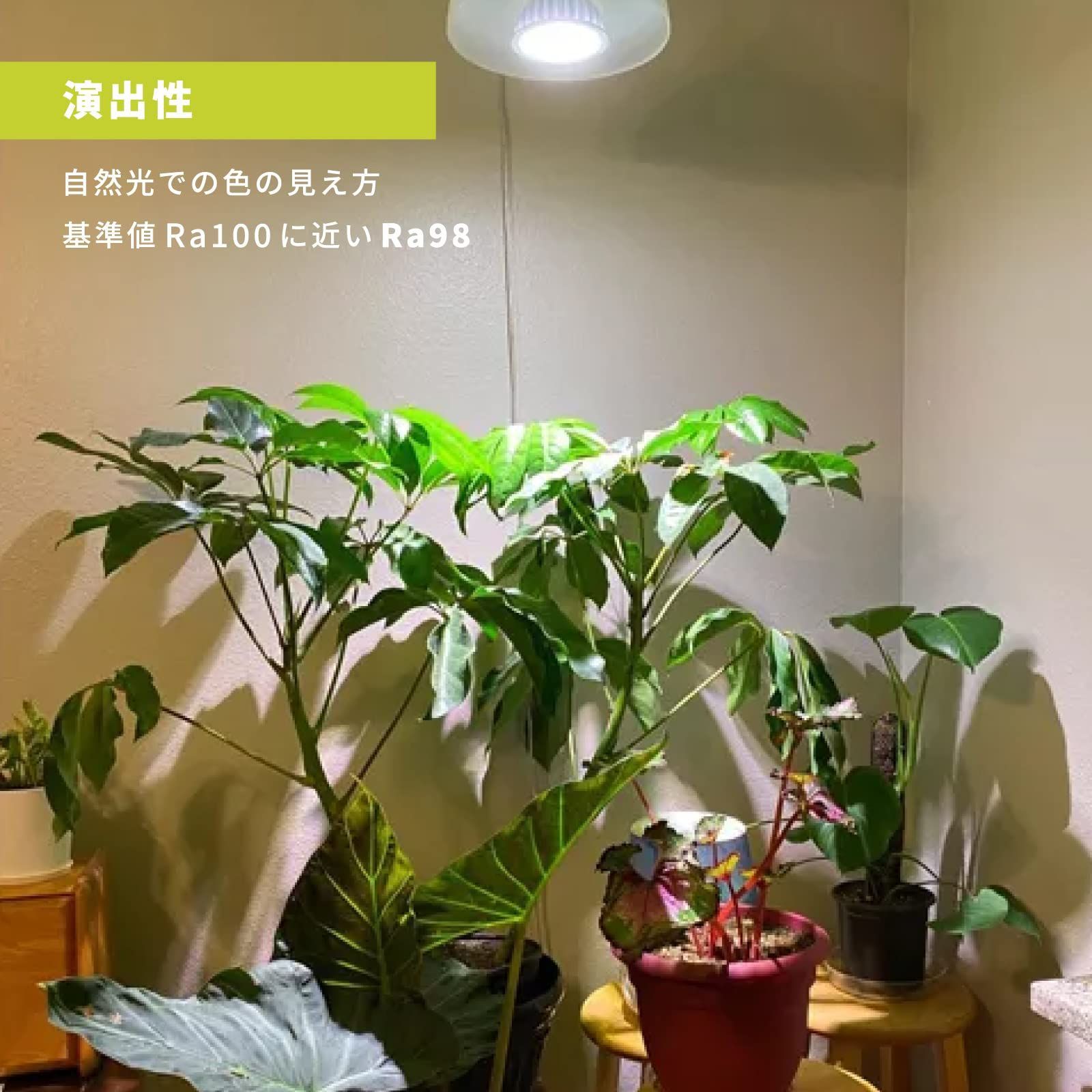 LIME LIGHT 植物育成ライト LED 高PPFD1065 暖かい色味 3 www