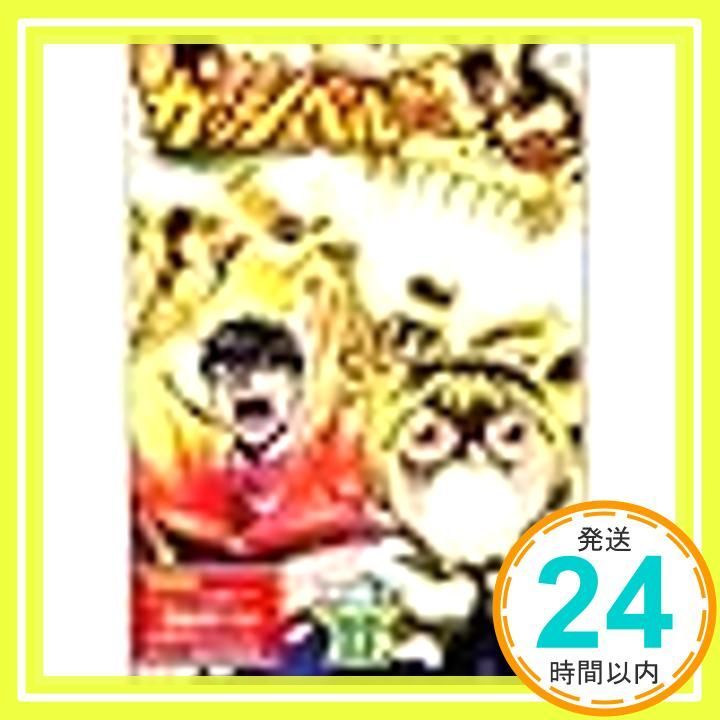 金色のガッシュベル!! Level-2 DVD 17巻セット レンタル落ち 金色の