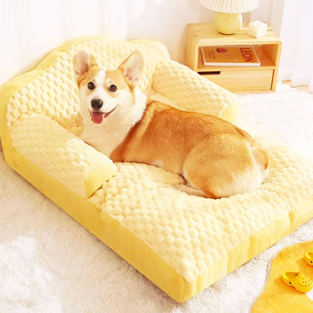 猫 犬