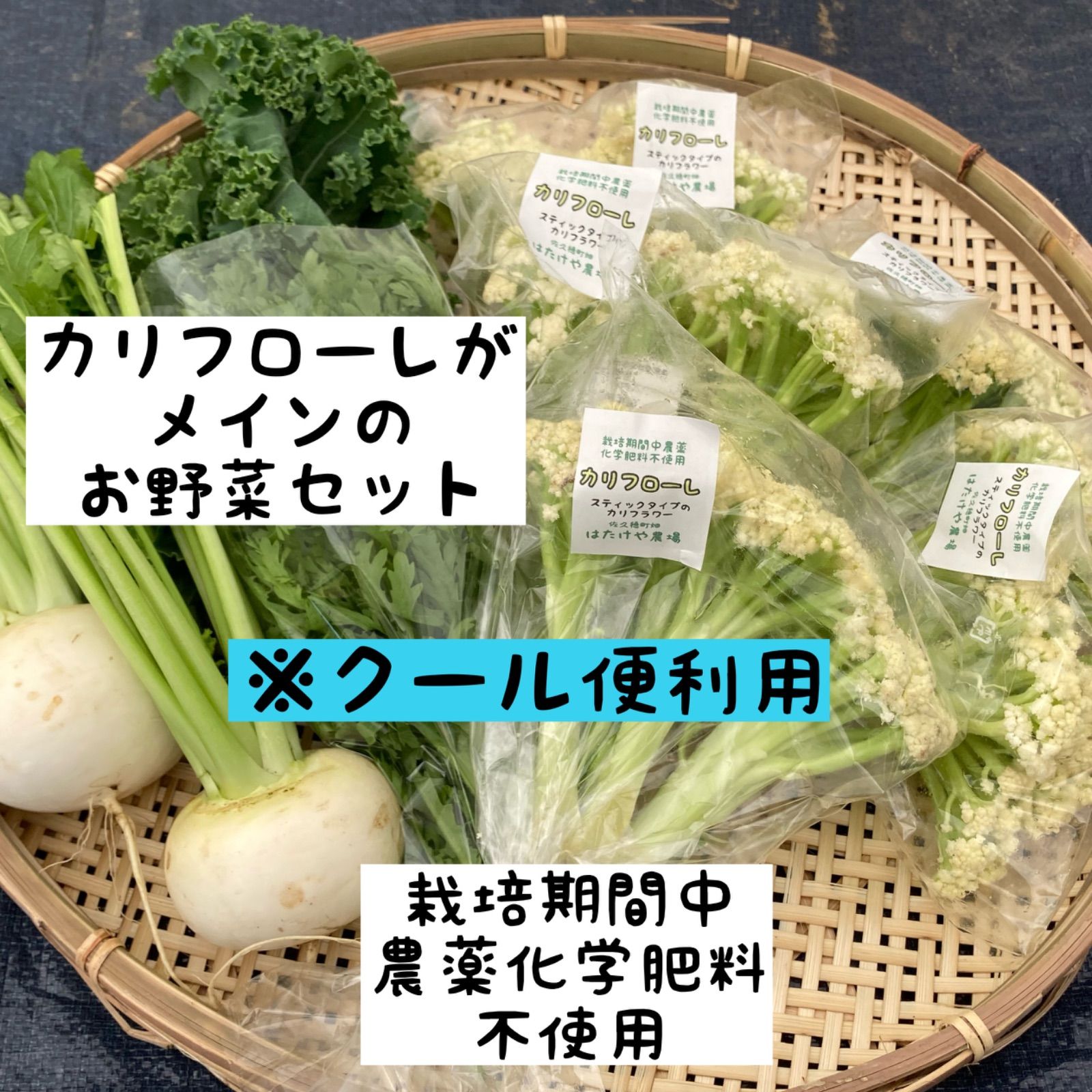 アウトレット☆期間中農薬不使用☆野菜セット - 野菜