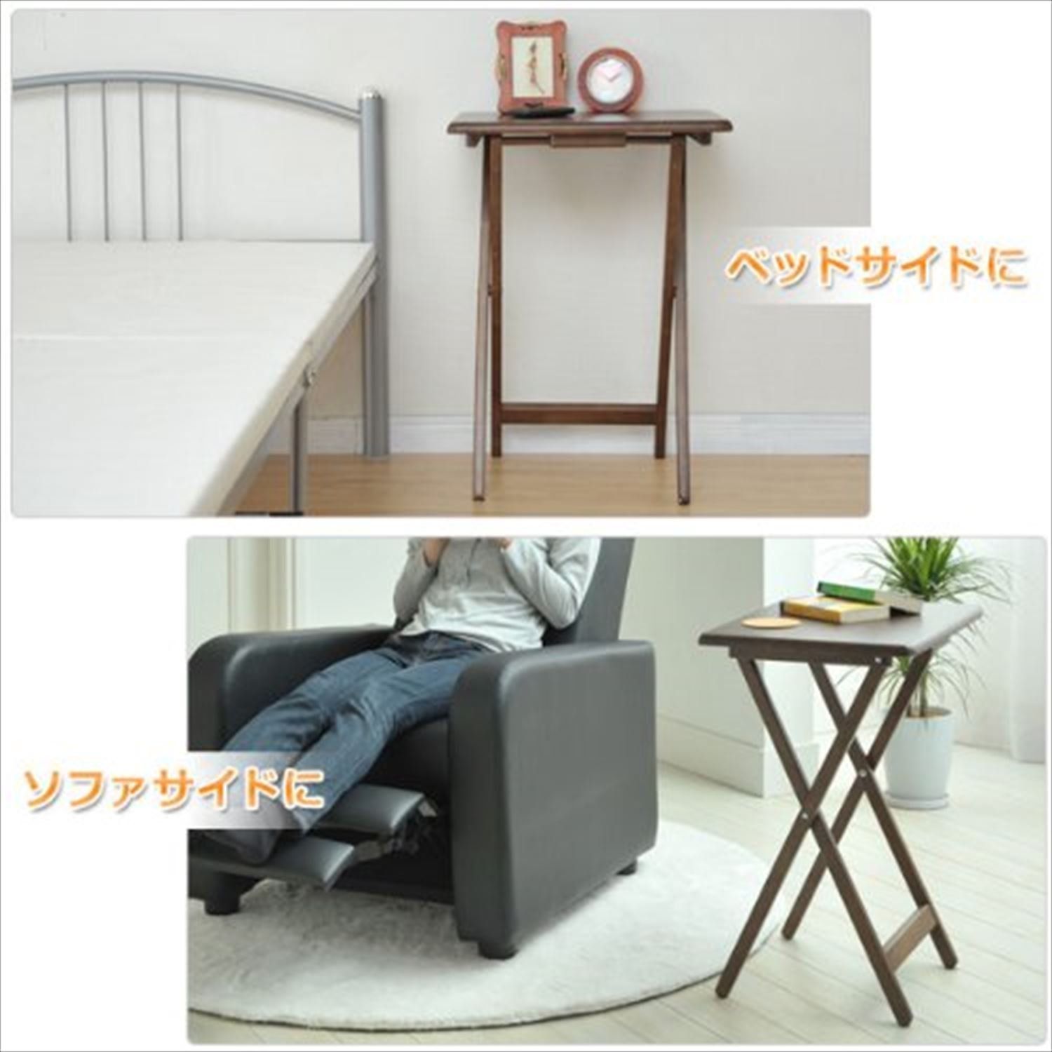 【人気ドワーフ3種12株セット①】P.willinckii系 ビカクシダ 人気ドワーフ3種12株セット①】P.willinckii系 ビカクシダ