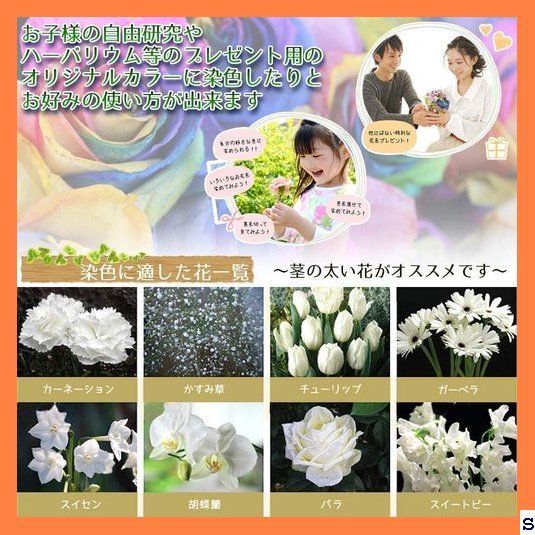 メルカリshops 送料無料 フラワーパレット 切り花染色剤 自由研究 フ スカーレット3袋入 メルカリshops 送料無料 フラワーパレット 切り花染色剤 自由研究 フ スカーレット3袋入