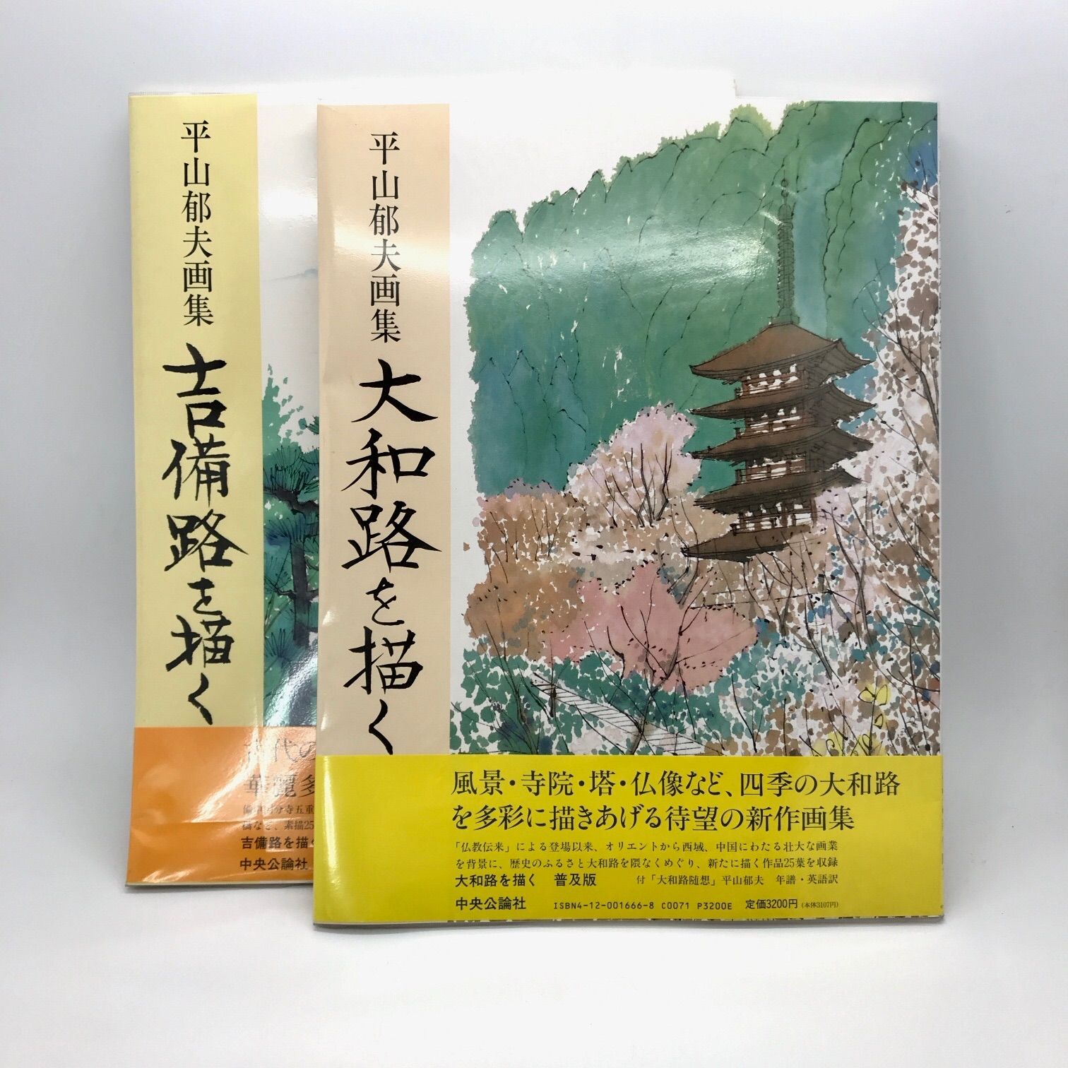 平山郁夫【美品】平山郁夫 画集 大型本 - アート/エンタメ