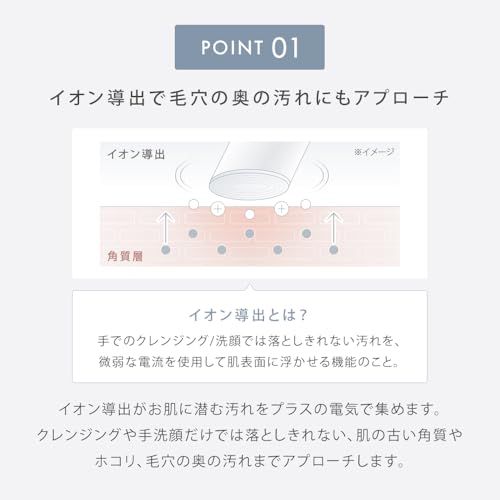 SALONIA サロニア 洗顔ブラシ セット イオンフェイシャルブラシ