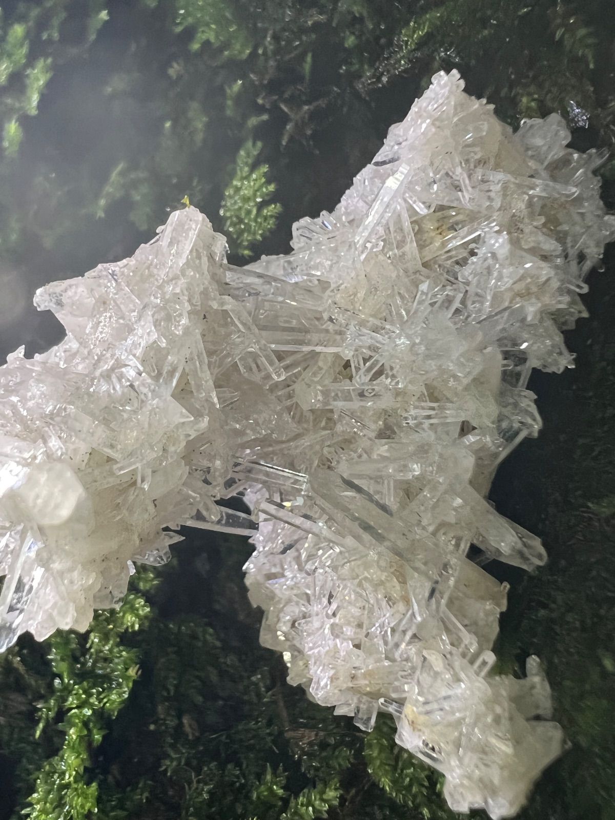 龍脈の精髄 水晶クラスター 「光を宿す透明なる守護」 宮崎県産 保護猫活動支援 龍脈の精髄 水晶クラスター 「光を宿す透明なる守護」 宮崎県産