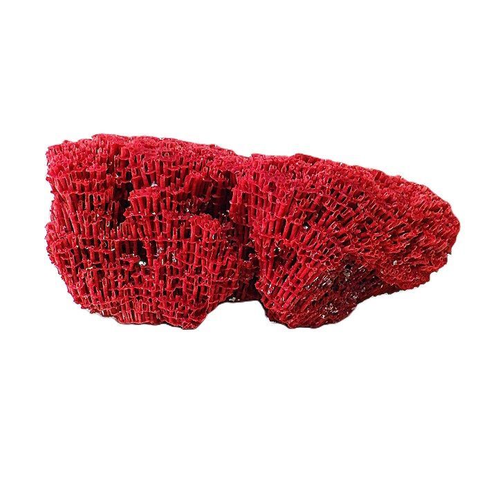 サンゴ 置物 サンゴ礁 珊瑚礁 パイプオルガン珊瑚 珊瑚 サンゴ 赤珊瑚