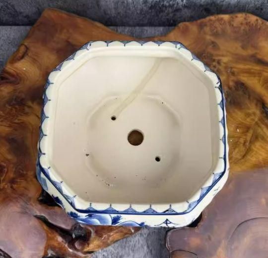 青花磁八角鉢 四方口箱鉢 陶磁鉢 盆栽鉢 植木鉢 小品盆栽鉢 大品