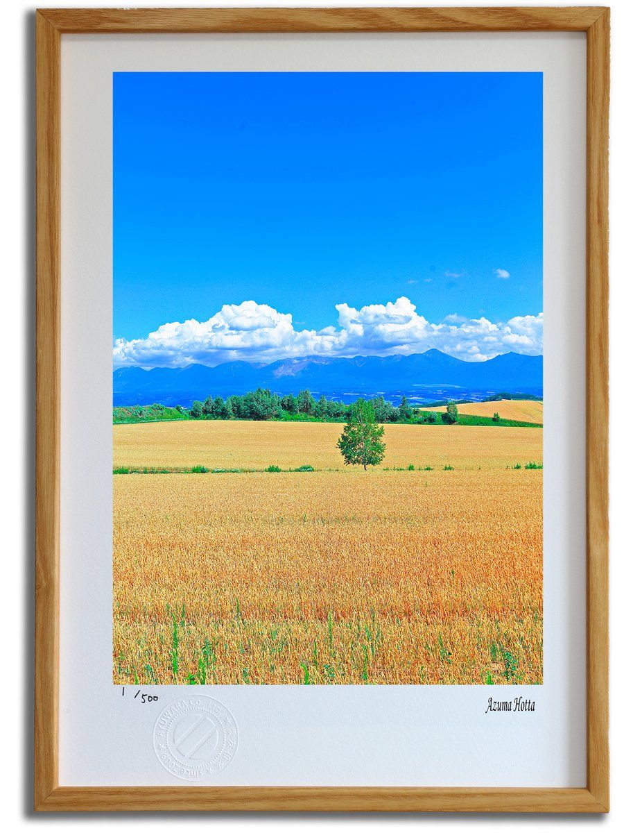 版画 絵画 北海道の田園風景001 美瑛|インテリア 額入り 額装込 風景画 油絵 ポスター アート アートパネル リビング 玄関 プレゼント モダン アートフレーム 飾る Mサイズ おしゃれ 壁掛け 絵