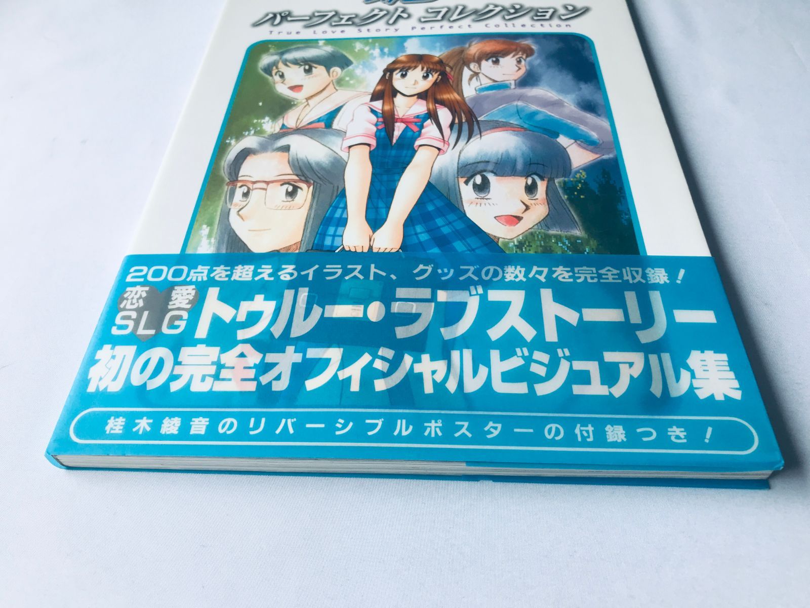 true love story　　トゥルー・ラブストーリー 　販促非売品ポスター true love story トゥルー・ラブストーリー 販促非売品ポスター
