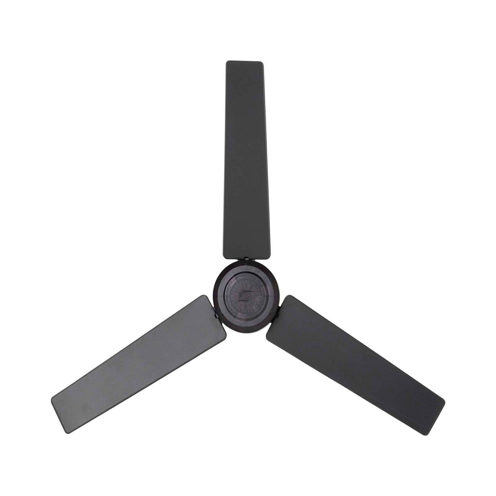 RAIL FAN