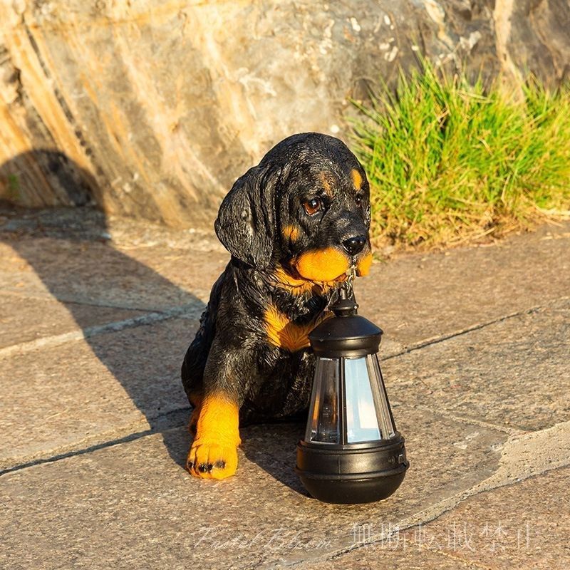 犬