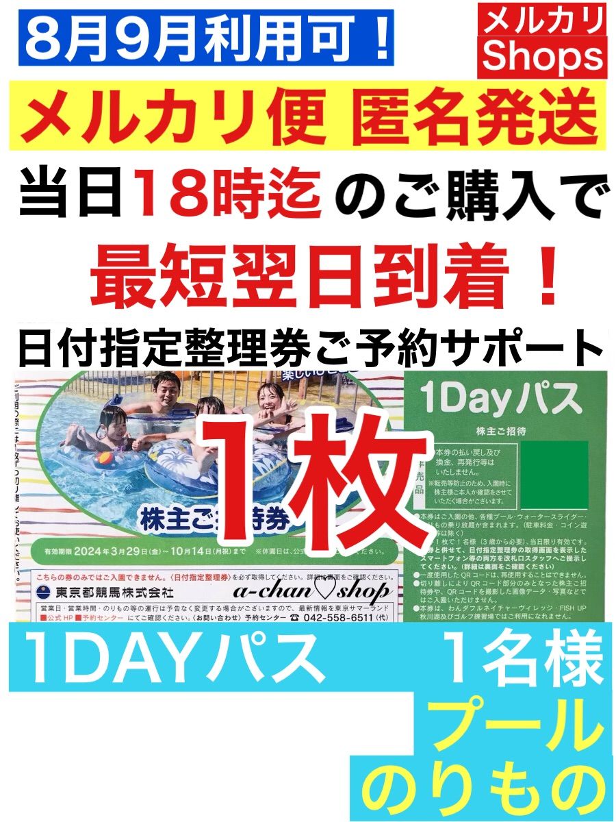 東京サマーランド 株主優待券 4枚 1dayパス
