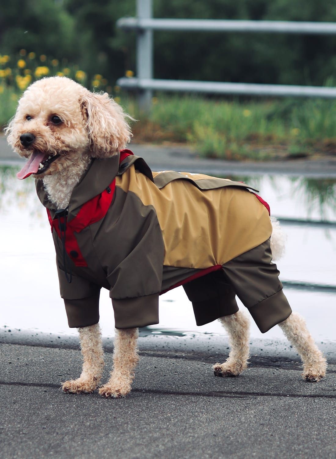 犬 服 から 「5-6Lサイズ」SP Dog Down Jacket