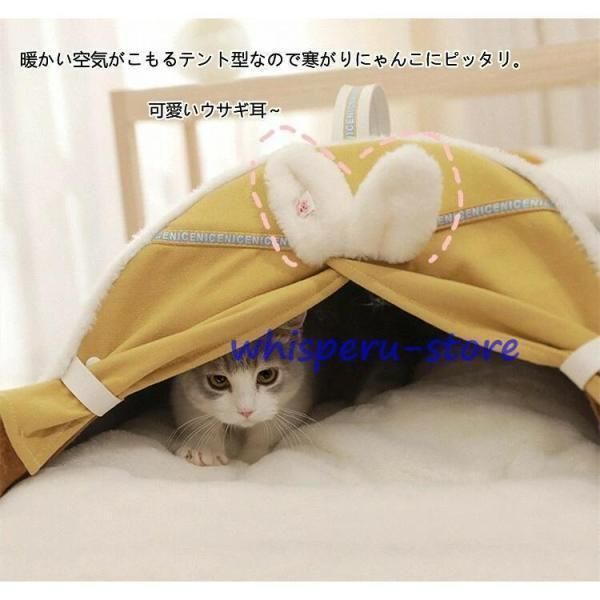 冬