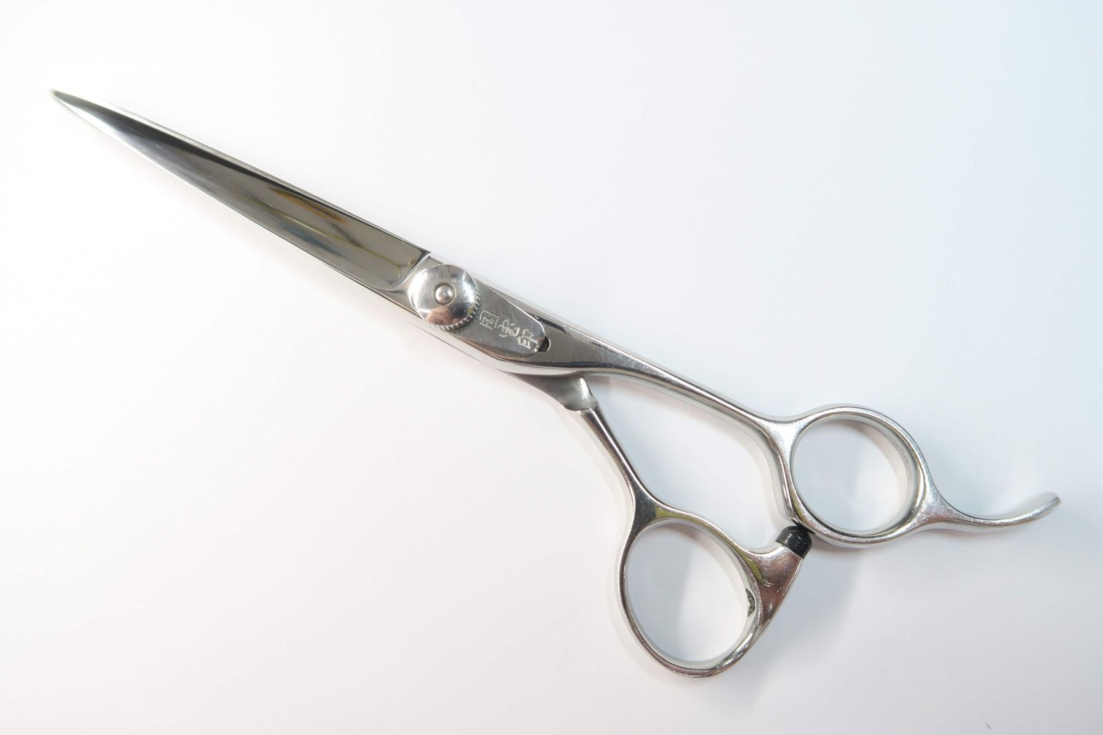 小売業者 新品未使用 角井理愛さんのボタニカルシリーズ葉模様のホワイト皿