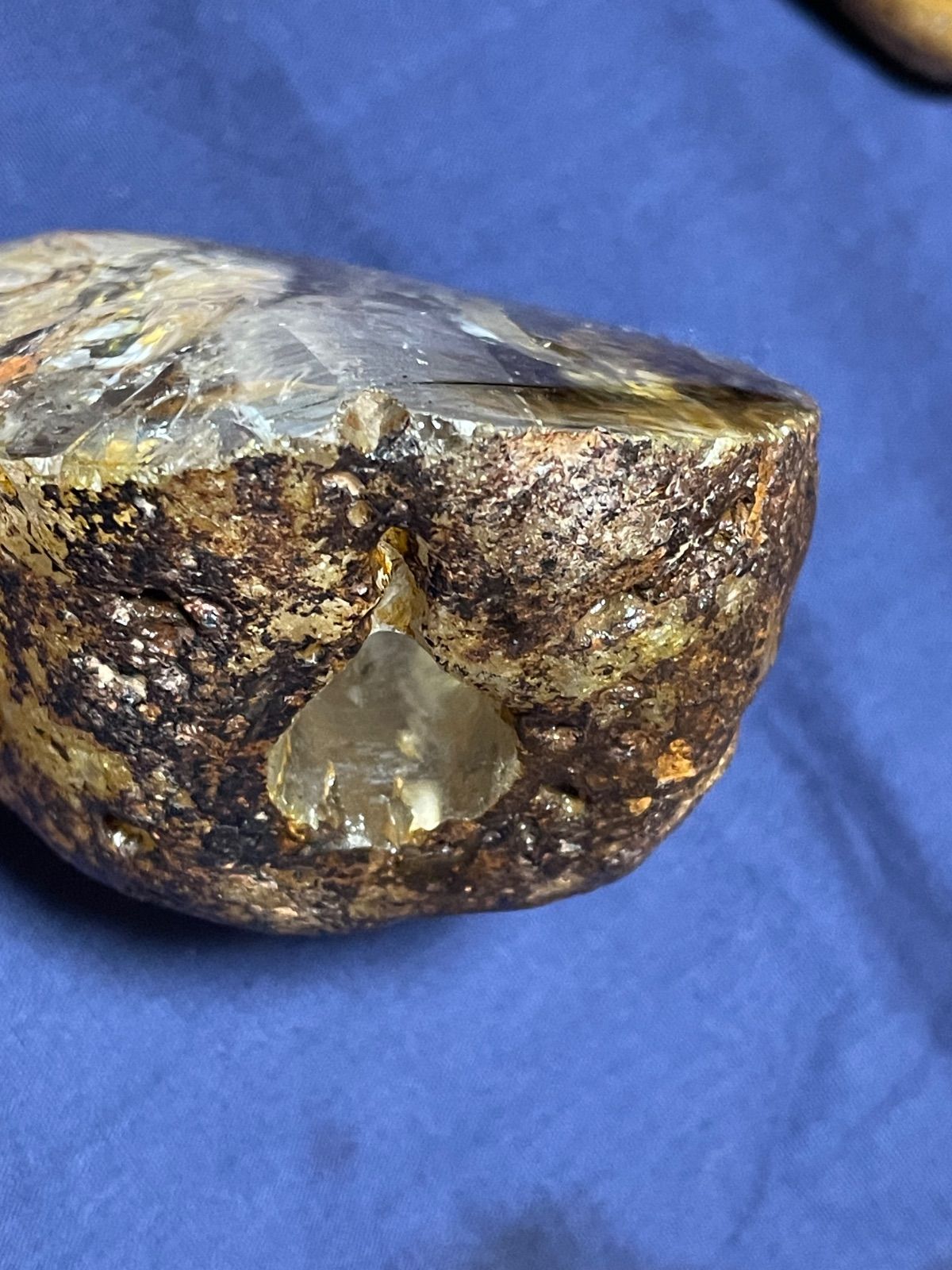 歴史ある修験道特大42㎝法螺貝　赤紐網袋付き　山伏　密教　法具　魔除け 歴史ある修験道特大42㎝法螺貝 赤紐網袋付き 山伏 密教 法具 魔