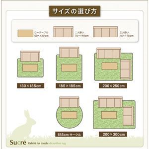 ラビットファータッチマイクロファイバーラグ Sucre