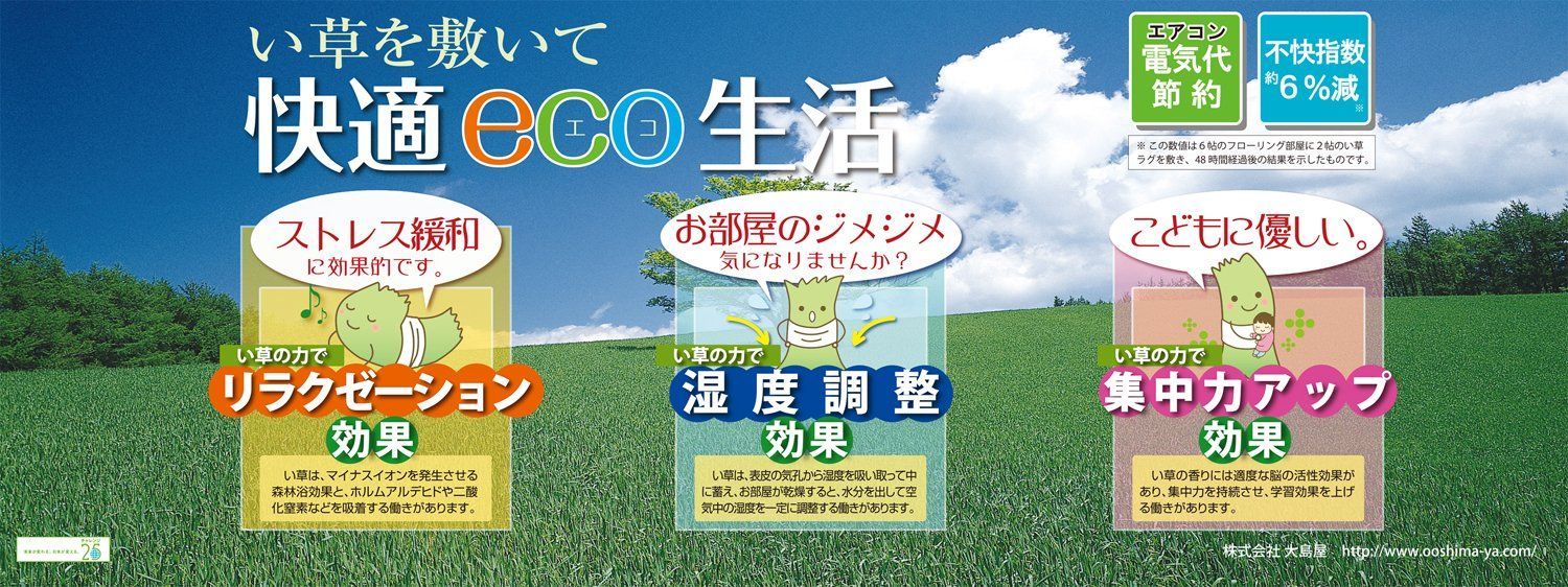 大島屋 敷紙 健康敷紙 3帖 2枚入 1枚あたり 約101×280cm 最前線の