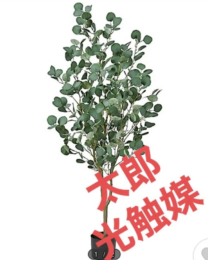 光触媒 人工観葉植物 ウォールグリーン フェイクグリーン スイート