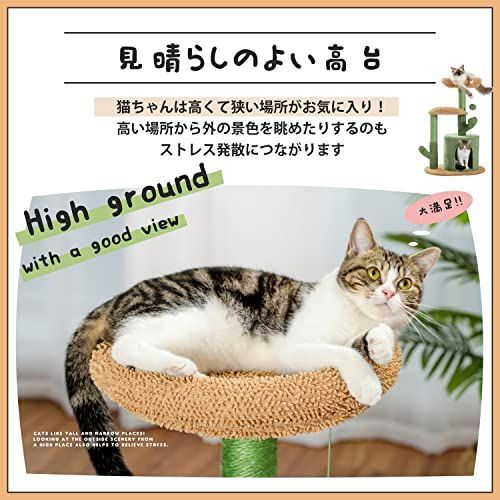 色: グレー】PAWZ Road キャットタワー 小型 ミニタイプ 爪とぎポー - 猫