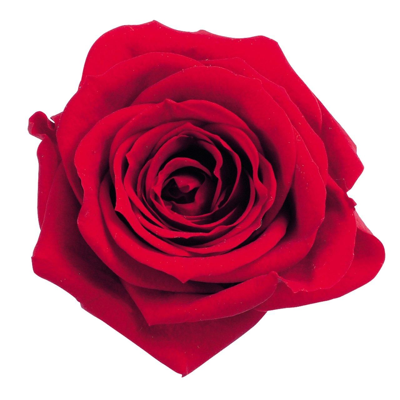 アリパイ 雪降る聖夜の不思議な贈り物柄 ジャンパースカート JSK