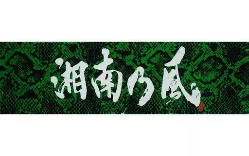 中古】雑貨 湘南乃風 湘南乃風タオル(パイソンGREEN) 「十周年