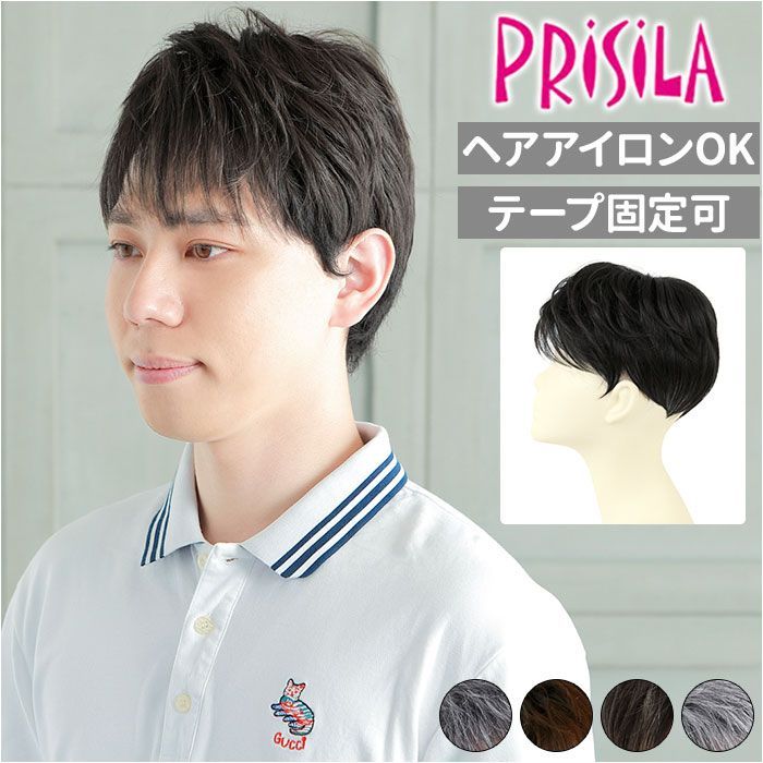 ☆ TGH/耐熱グレイヘア プリシラ 男性用5分ウィッグ レイヤー
