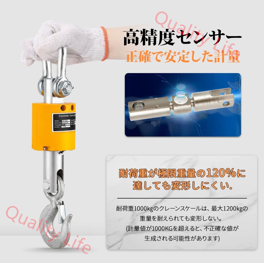 高精度クレーンスケール