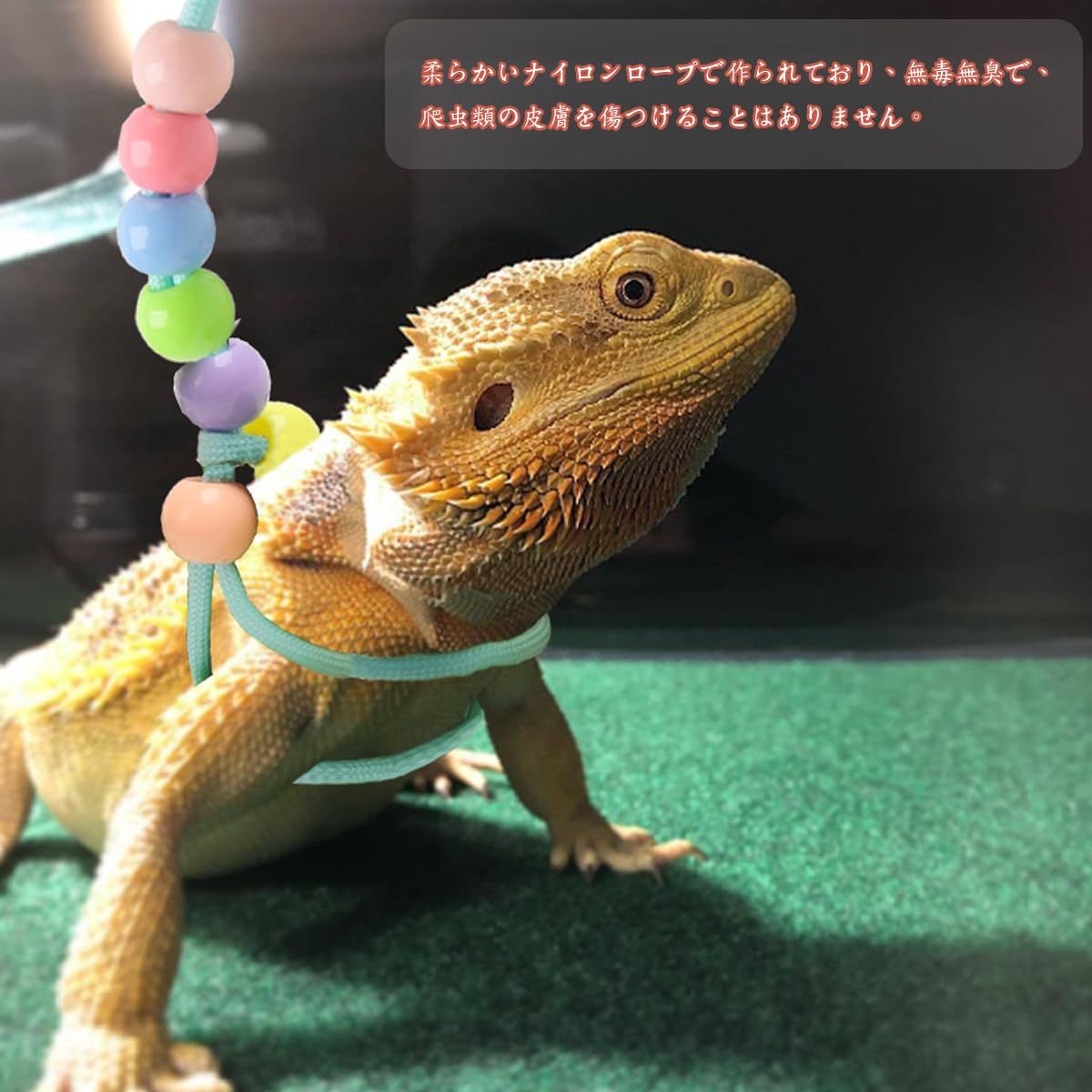 ヤモリ爬虫類両生類用トレーニングリードハーネス