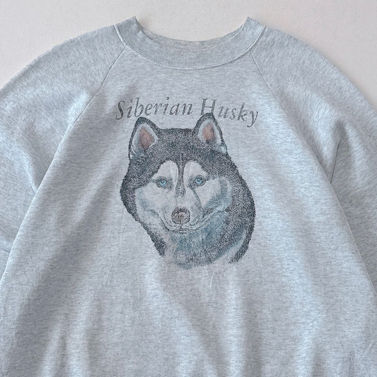 90s USA製 フルーツオブザルーム ハスキー プリント スウェット