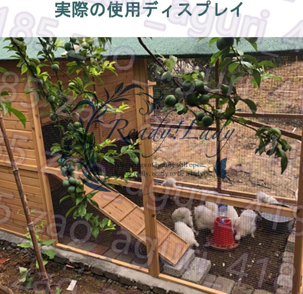 鶏小屋大型