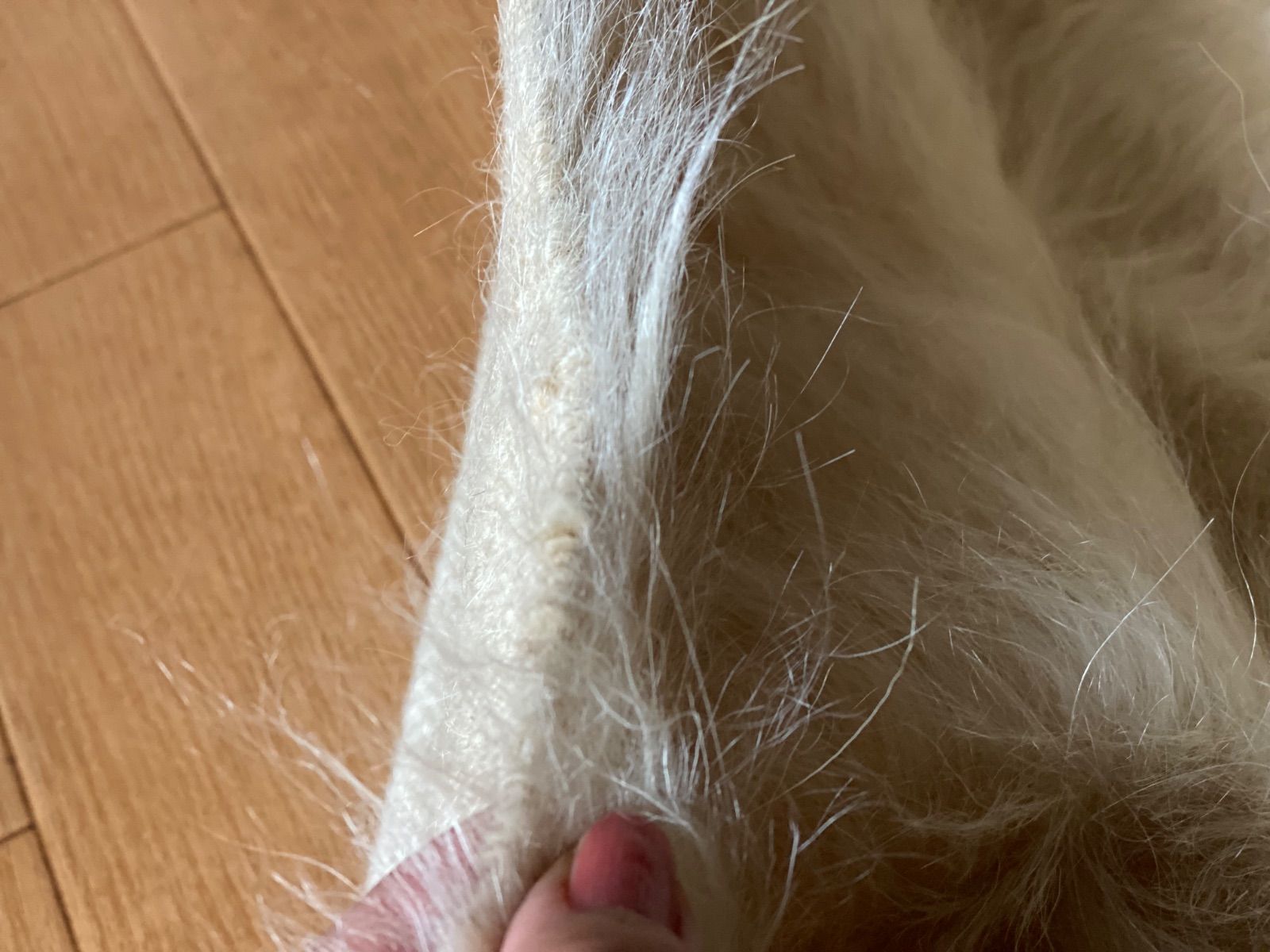 シイルトバッタニイェ79×90素晴らしいモフモフ感と艶々のモヘアの毛布