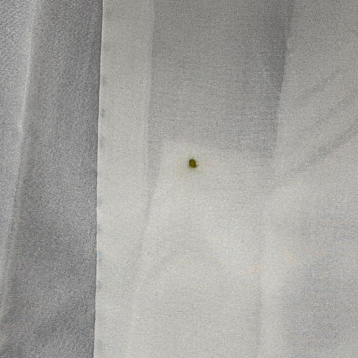 身丈152cm 裄丈63cm