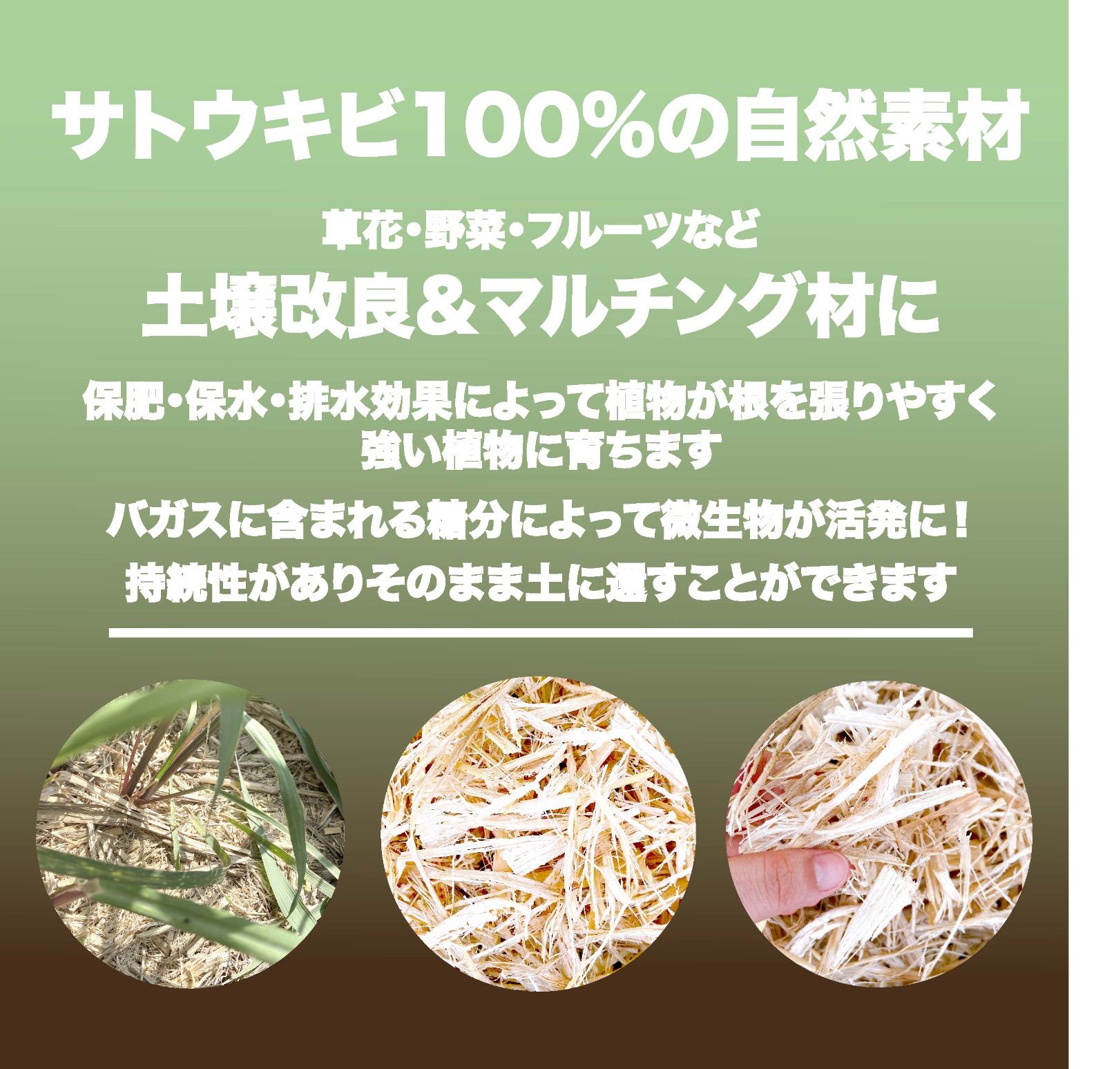 #13【南国の自然資材「乾燥バガス」1kg】サトウキビ農家でも一部の人しか手に入らない自然素材　家庭菜園・園芸・畑・農業用の土壌改良やマルチング&堆肥に　　　草花 ガーデニング雑貨 野菜作り 観葉植物栽培 フルーツ作り ハーブ 園芸雑貨