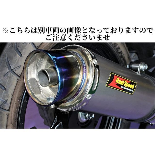 Realspeed ( リアルスピード ) シグナスX125 SE12 / SE44J メテオ