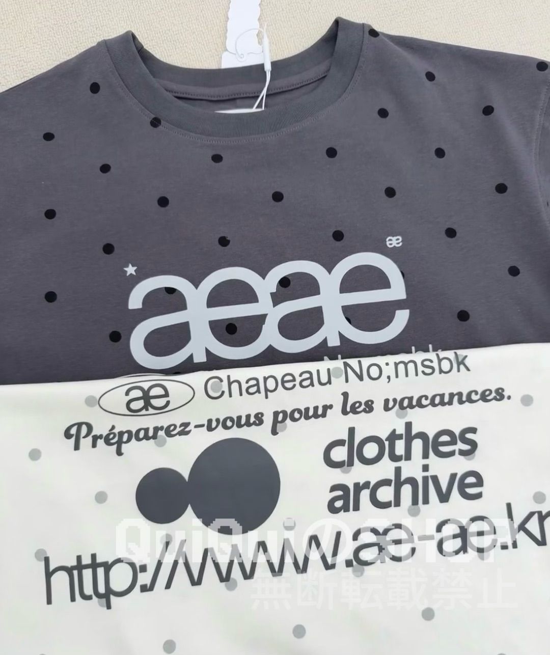 新品 韓国 AEAE エーイーエーイー WEB LOGO DOT CROP T-SHIRTS