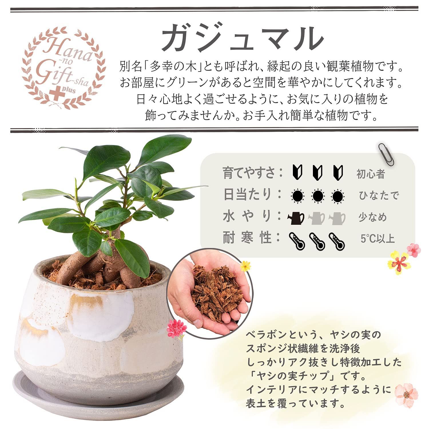 花のギフト社