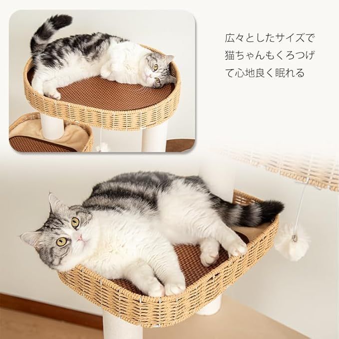 猫タワー