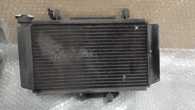 Ninja ニンジャ 250SL BX250A の ラジエター 1749086765