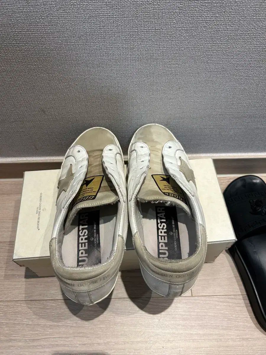 ゴールデングース