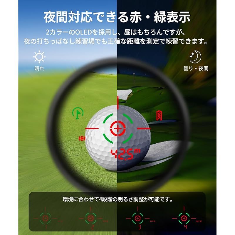B1000PROF OLED赤緑表示