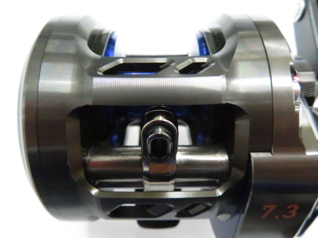 ダイワ ソルティガ BJ 100 SHL 01-