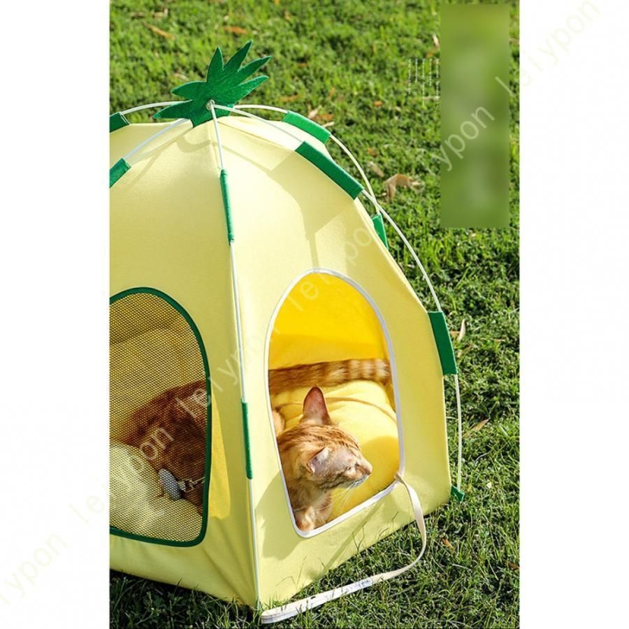 ペットの巣