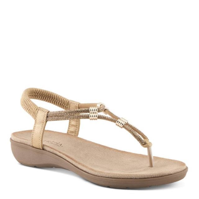 【送料無料】 パトリシア レディース サンダル シューズ Patrizia Women's Biddle Thong Sandals Gold